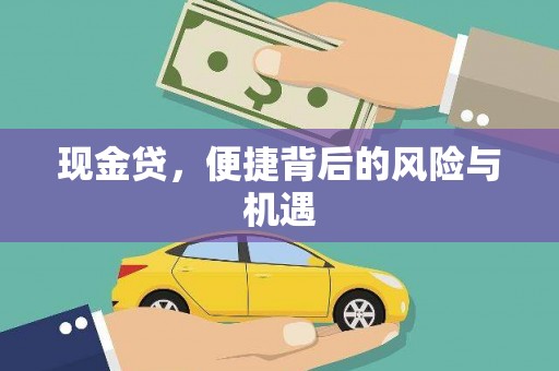 镇坪现金贷，便捷背后的风险与机遇