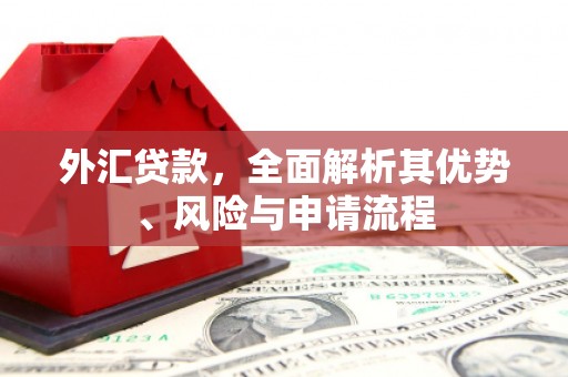 镇坪外汇贷款，全面解析其优势、风险与申请流程