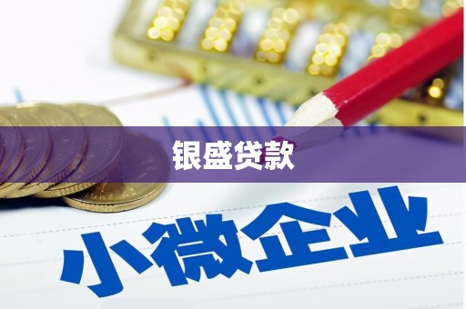 镇坪银盛贷款