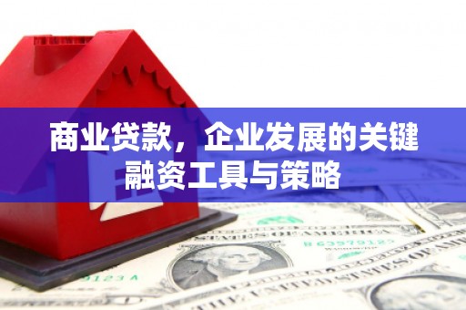 镇坪商业贷款，企业发展的关键融资工具与策略