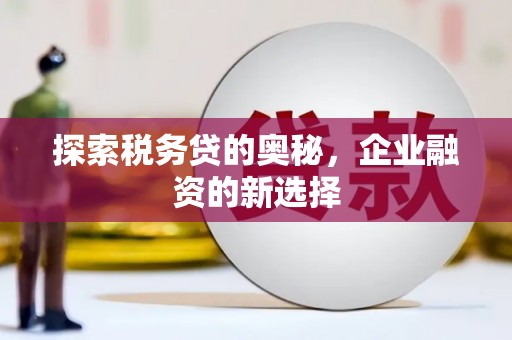 镇坪探索税务贷的奥秘，企业融资的新选择