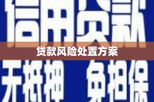 镇坪贷款风险处置方案