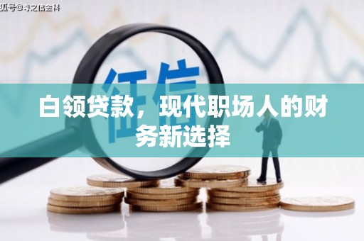 镇坪白领贷款，现代职场人的财务新选择
