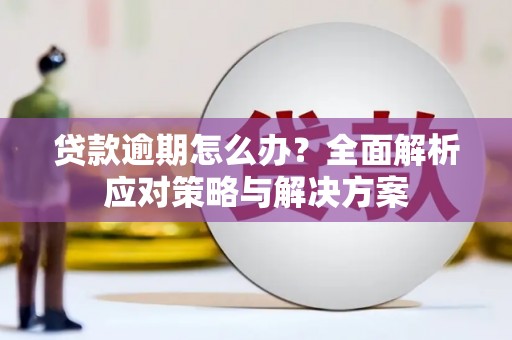 镇坪贷款逾期怎么办？全面解析应对策略与解决方案