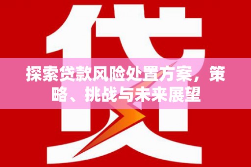 镇坪探索贷款风险处置方案，策略、挑战与未来展望