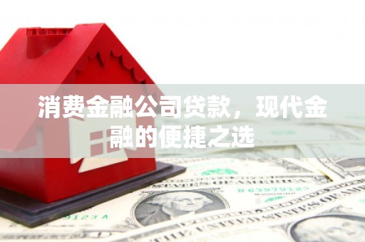 镇坪消费金融公司贷款，现代金融的便捷之选