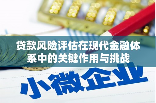镇坪贷款风险评估在现代金融体系中的关键作用与挑战