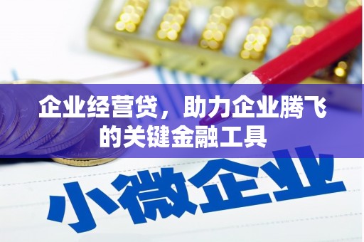 镇坪企业经营贷，助力企业腾飞的关键金融工具