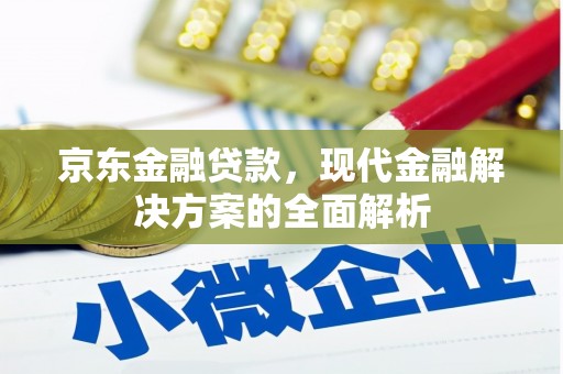 镇坪京东金融贷款，现代金融解决方案的全面解析