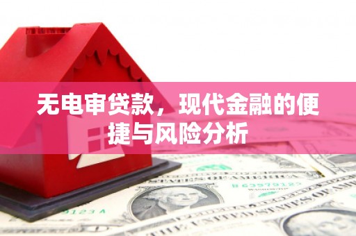 镇坪无电审贷款，现代金融的便捷与风险分析