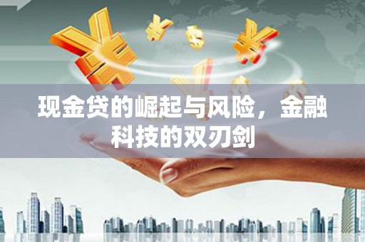 镇坪现金贷的崛起与风险，金融科技的双刃剑