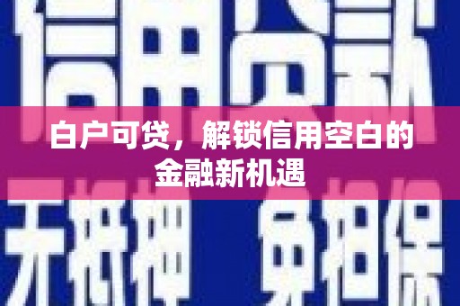 镇坪白户可贷，解锁信用空白的金融新机遇