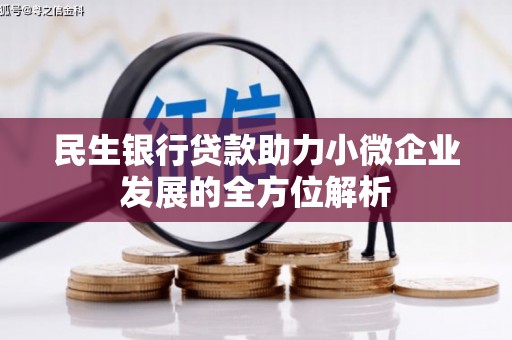 镇坪民生银行贷款助力小微企业发展的全方位解析
