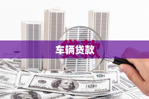 镇坪车辆贷款