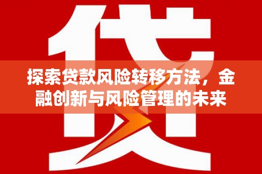 镇坪探索贷款风险转移方法，金融创新与风险管理的未来