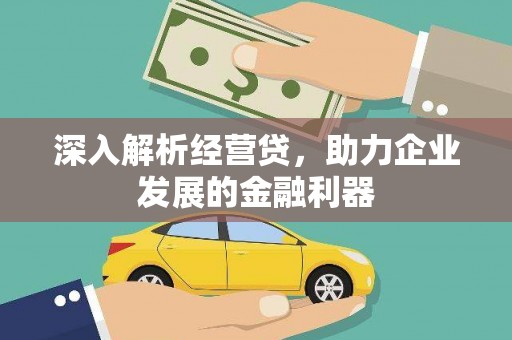 镇坪深入解析经营贷，助力企业发展的金融利器
