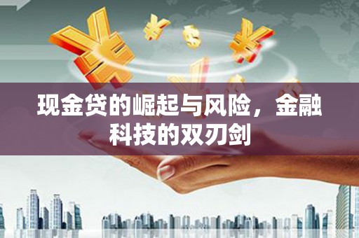 镇坪现金贷的崛起与风险，金融科技的双刃剑