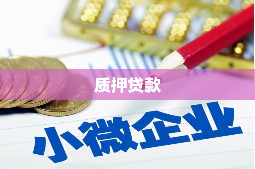 镇坪质押贷款
