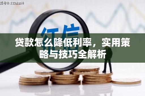 镇坪贷款怎么降低利率，实用策略与技巧全解析