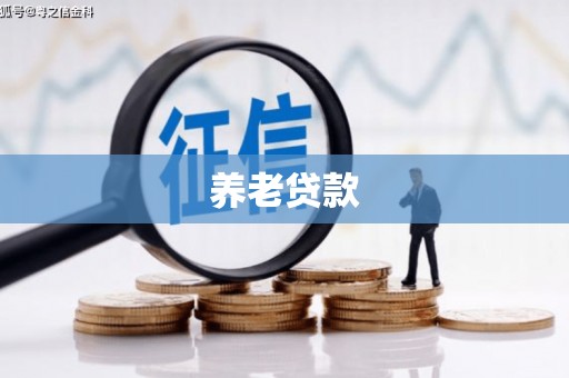 镇坪养老贷款