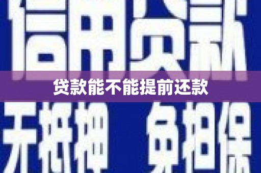 镇坪贷款能不能提前还款