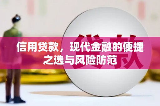 镇坪信用贷款，现代金融的便捷之选与风险防范