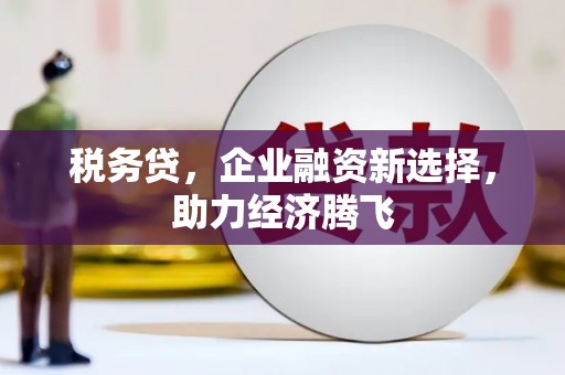 镇坪税务贷，企业融资新选择，助力经济腾飞