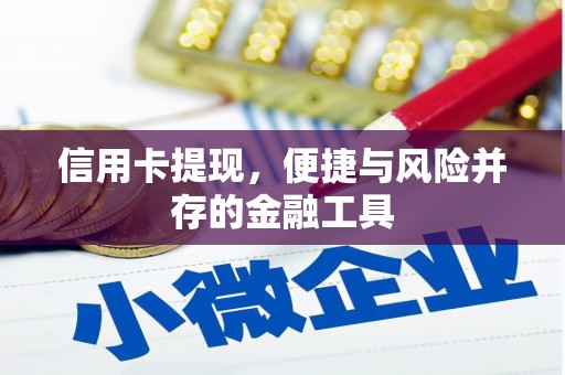 镇坪信用卡提现，便捷与风险并存的金融工具