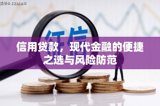 镇坪信用贷款，现代金融的便捷之选与风险防范