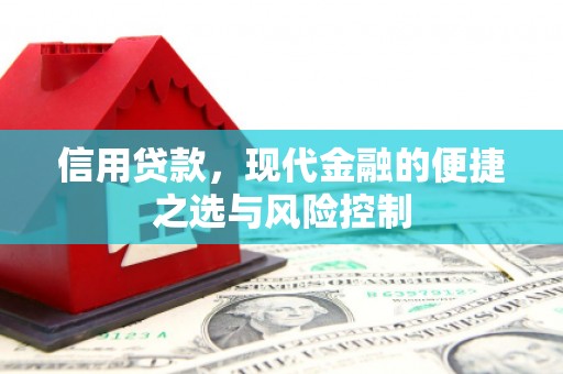 镇坪信用贷款，现代金融的便捷之选与风险控制