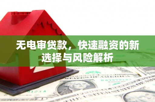 镇坪无电审贷款，快速融资的新选择与风险解析