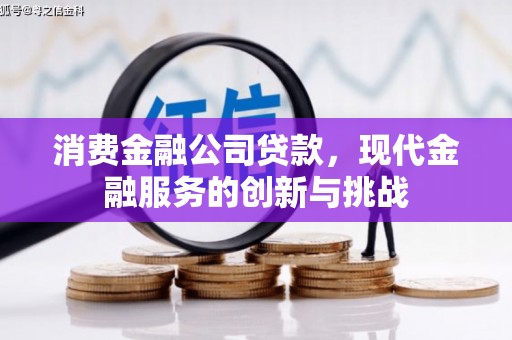 镇坪消费金融公司贷款，现代金融服务的创新与挑战