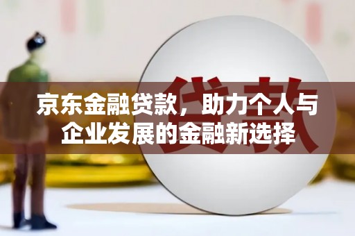 镇坪京东金融贷款，助力个人与企业发展的金融新选择