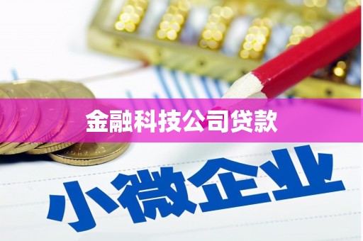 镇坪金融科技公司贷款