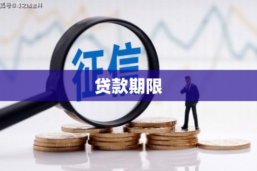 镇坪贷款期限