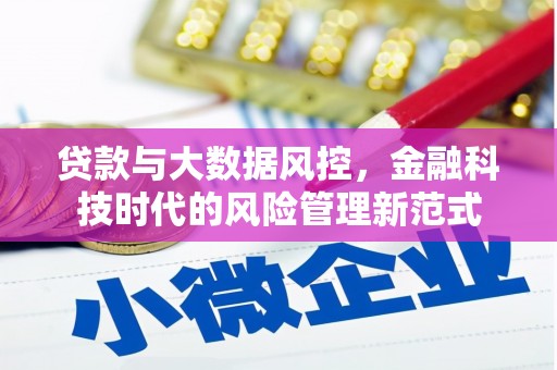 镇坪贷款与大数据风控，金融科技时代的风险管理新范式
