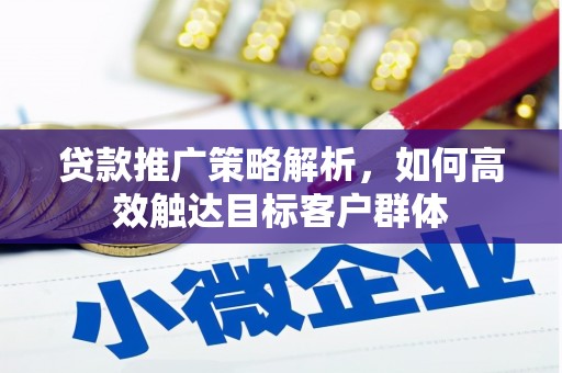 镇坪贷款推广策略解析，如何高效触达目标客户群体