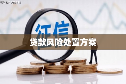 镇坪贷款风险处置方案