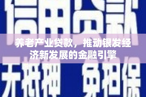 镇坪养老产业贷款，推动银发经济新发展的金融引擎