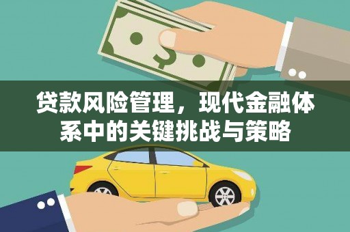 镇坪贷款风险管理，现代金融体系中的关键挑战与策略