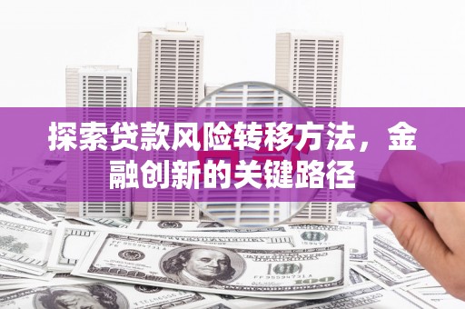 镇坪探索贷款风险转移方法，金融创新的关键路径