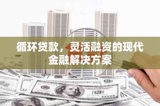 镇坪循环贷款，灵活融资的现代金融解决方案