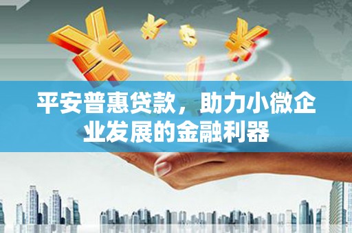 镇坪平安普惠贷款，助力小微企业发展的金融利器