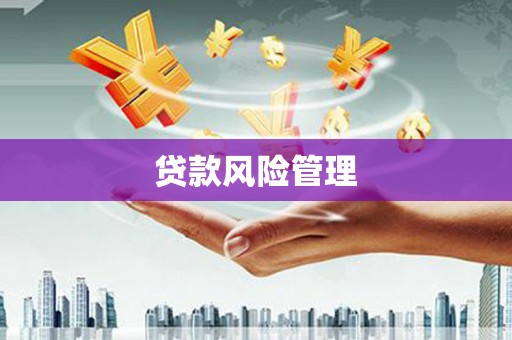 镇坪贷款风险管理