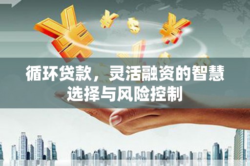 镇坪循环贷款，灵活融资的智慧选择与风险控制
