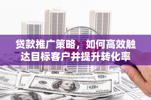 镇坪贷款推广策略，如何高效触达目标客户并提升转化率