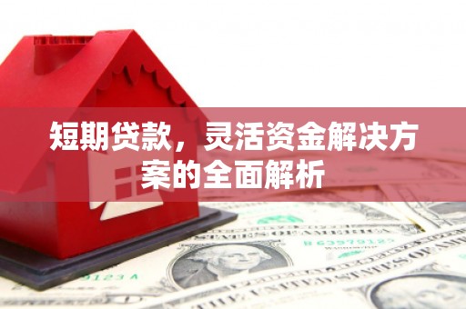 镇坪短期贷款，灵活资金解决方案的全面解析
