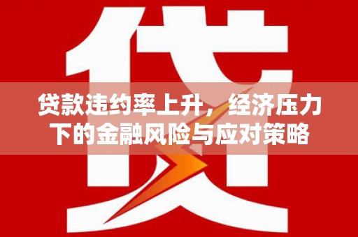 镇坪贷款违约率上升，经济压力下的金融风险与应对策略