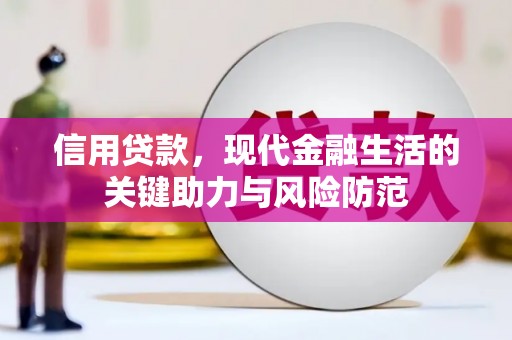 镇坪信用贷款，现代金融生活的关键助力与风险防范