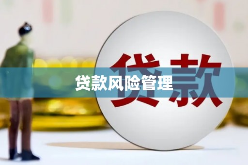 镇坪贷款风险管理
